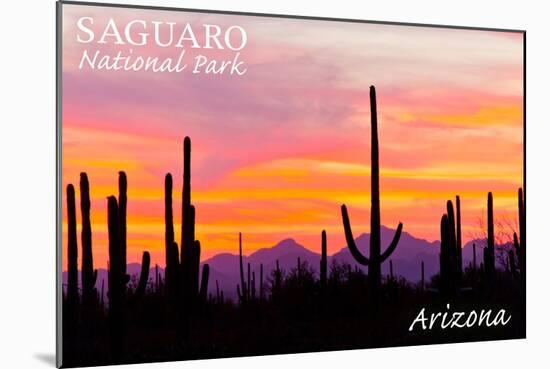 Saguaro National Park, Arizona - Orange and Pink Sunset-Lantern Press-Mounted Art Print