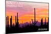 Saguaro National Park, Arizona - Orange and Pink Sunset-Lantern Press-Mounted Art Print