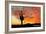 Saguaro National Park, Arizona - Orange Sunset-Lantern Press-Framed Art Print