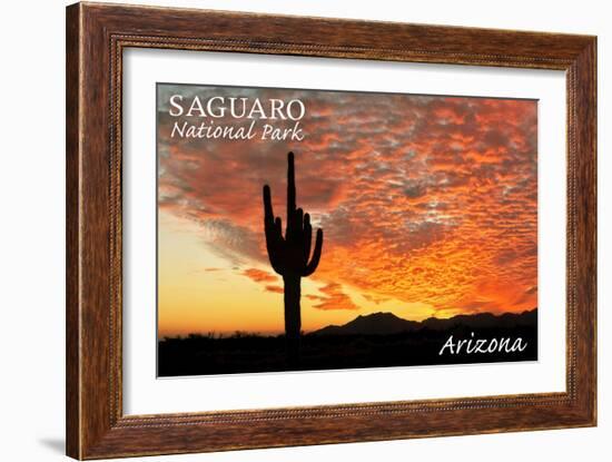 Saguaro National Park, Arizona - Orange Sunset-Lantern Press-Framed Art Print