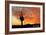 Saguaro National Park, Arizona - Orange Sunset-Lantern Press-Framed Art Print