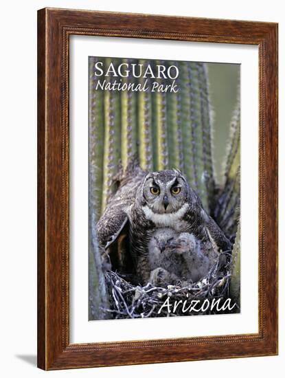 Saguaro National Park, Arizona - Owl and Babies-Lantern Press-Framed Art Print