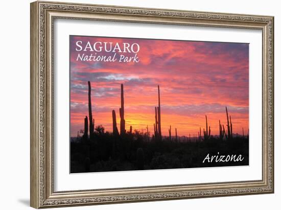 Saguaro National Park, Arizona - Pink Sunset-Lantern Press-Framed Art Print