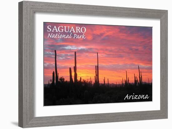 Saguaro National Park, Arizona - Pink Sunset-Lantern Press-Framed Art Print