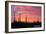 Saguaro National Park, Arizona - Pink Sunset-Lantern Press-Framed Art Print