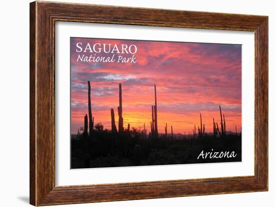 Saguaro National Park, Arizona - Pink Sunset-Lantern Press-Framed Art Print