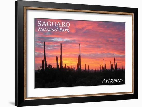 Saguaro National Park, Arizona - Pink Sunset-Lantern Press-Framed Art Print