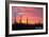 Saguaro National Park, Arizona - Pink Sunset-Lantern Press-Framed Art Print