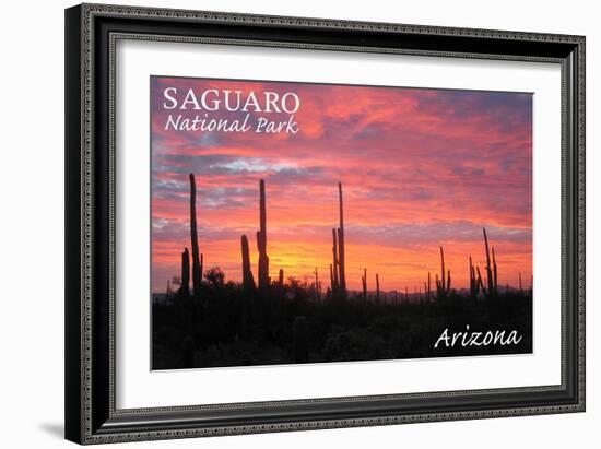 Saguaro National Park, Arizona - Pink Sunset-Lantern Press-Framed Art Print