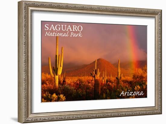 Saguaro National Park, Arizona - Rainbow-Lantern Press-Framed Art Print