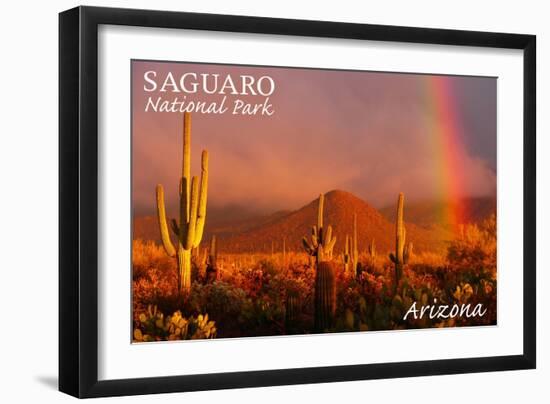 Saguaro National Park, Arizona - Rainbow-Lantern Press-Framed Art Print