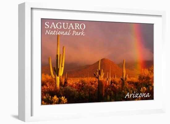 Saguaro National Park, Arizona - Rainbow-Lantern Press-Framed Art Print