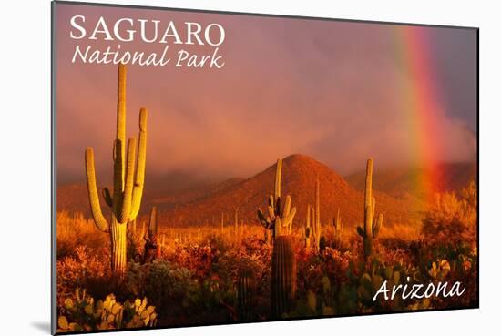 Saguaro National Park, Arizona - Rainbow-Lantern Press-Mounted Art Print