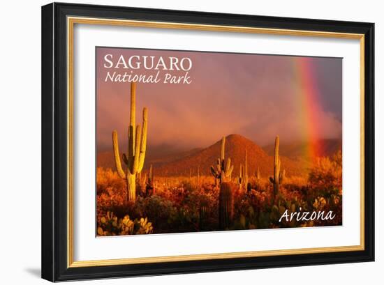 Saguaro National Park, Arizona - Rainbow-Lantern Press-Framed Art Print