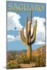 Saguaro National Park, Arizona - Roadrunner and Trail-Lantern Press-Mounted Art Print