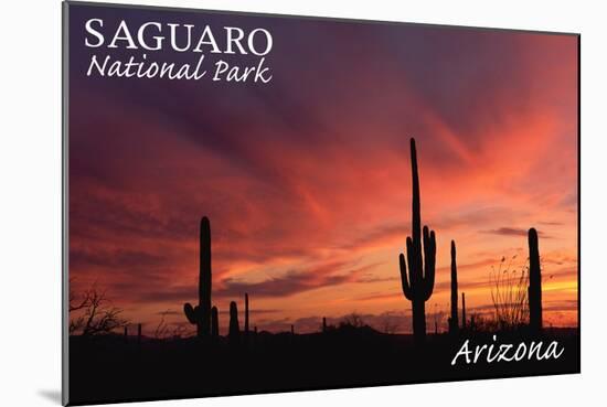Saguaro National Park, Arizona - Storm and Sunset-Lantern Press-Mounted Art Print