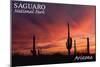 Saguaro National Park, Arizona - Storm and Sunset-Lantern Press-Mounted Art Print