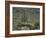 Saguaro National Park, Arizona, with Saguaro Cactus and Silver Cholla-Rolf Nussbaumer-Framed Photographic Print