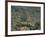 Saguaro National Park, Arizona, with Saguaro Cactus and Silver Cholla-Rolf Nussbaumer-Framed Photographic Print