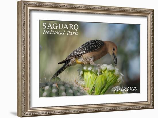 Saguaro National Park, Arizona - Woodpecker-Lantern Press-Framed Art Print