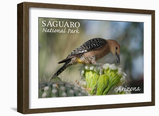 Saguaro National Park, Arizona - Woodpecker-Lantern Press-Framed Art Print