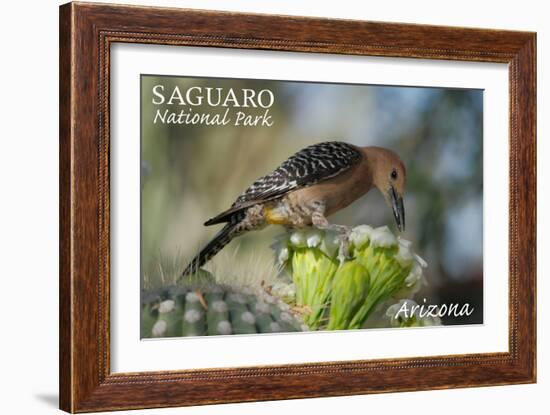 Saguaro National Park, Arizona - Woodpecker-Lantern Press-Framed Art Print