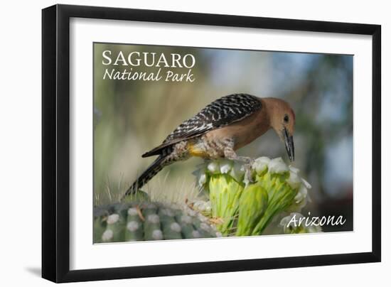 Saguaro National Park, Arizona - Woodpecker-Lantern Press-Framed Art Print