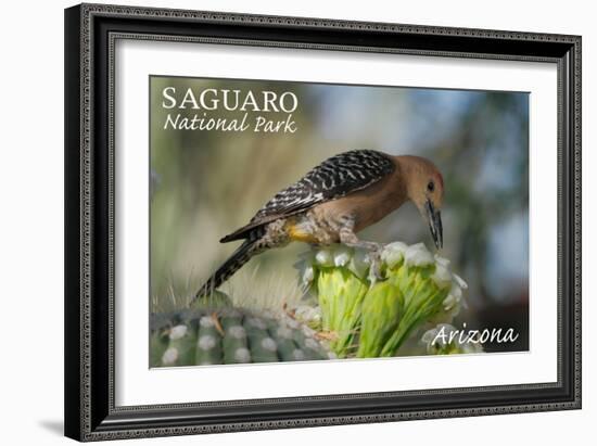 Saguaro National Park, Arizona - Woodpecker-Lantern Press-Framed Art Print