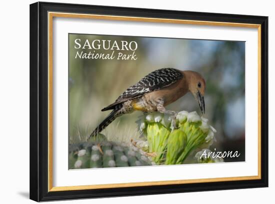 Saguaro National Park, Arizona - Woodpecker-Lantern Press-Framed Art Print