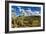 Saguaro National Park, Arizona-Ian Shive-Framed Photographic Print