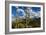 Saguaro National Park, Arizona-Ian Shive-Framed Photographic Print