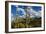 Saguaro National Park, Arizona-Ian Shive-Framed Photographic Print