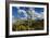 Saguaro National Park, Arizona-Ian Shive-Framed Photographic Print