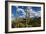 Saguaro National Park, Arizona-Ian Shive-Framed Photographic Print