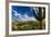 Saguaro National Park, Arizona-Ian Shive-Framed Photographic Print