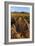 Saguaro National Park, Arizona-Ian Shive-Framed Photographic Print