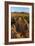 Saguaro National Park, Arizona-Ian Shive-Framed Photographic Print