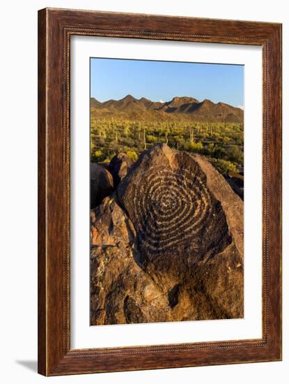 Saguaro National Park, Arizona-Ian Shive-Framed Photographic Print