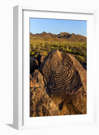 Saguaro National Park, Arizona-Ian Shive-Framed Photographic Print