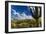 Saguaro National Park, Arizona-Ian Shive-Framed Photographic Print