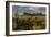 Saguaro National Park, Arizona-Ian Shive-Framed Photographic Print