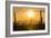 Saguaro National Park, Arizona-Ian Shive-Framed Photographic Print