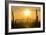 Saguaro National Park, Arizona-Ian Shive-Framed Photographic Print