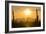 Saguaro National Park, Arizona-Ian Shive-Framed Photographic Print