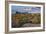 Saguaro National Park, Arizona-Ian Shive-Framed Photographic Print