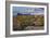 Saguaro National Park, Arizona-Ian Shive-Framed Photographic Print