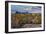 Saguaro National Park, Arizona-Ian Shive-Framed Photographic Print