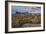 Saguaro National Park, Arizona-Ian Shive-Framed Photographic Print