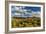 Saguaro National Park, Arizona-Ian Shive-Framed Photographic Print