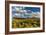 Saguaro National Park, Arizona-Ian Shive-Framed Photographic Print